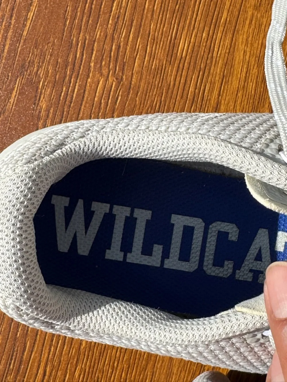 Nike Metcon Repper DXS Flywire Kentucky Wildcats Shoes Gray Gum Sole Men’s 10.5